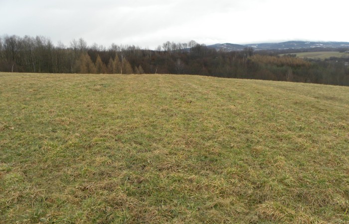 małopolskie, gorlicki, Działka na sprzedaż