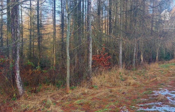 małopolskie, gorlicki, Działka na sprzedaż