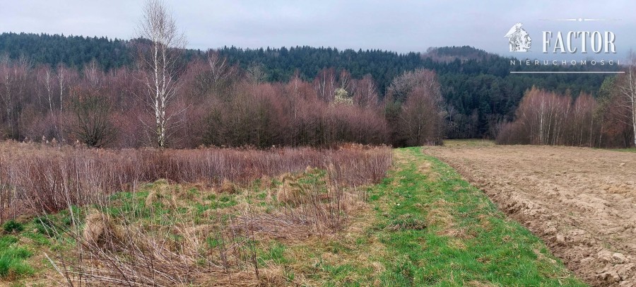 tarnowski, Rzepiennik Strzyżewski, Rzepiennik Biskupi, Działka na sprzedaż