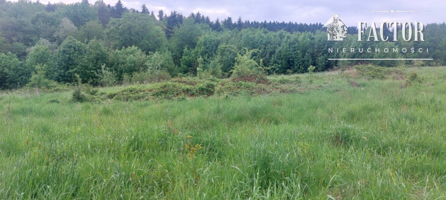 gorlicki, Sękowa, Siary, Działka na sprzedaż