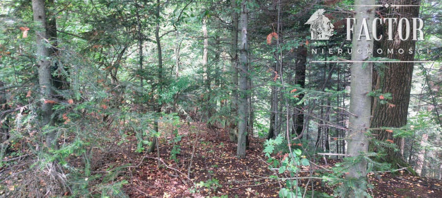 gorlicki, Gorlice, Stróżówka, Działka na sprzedaż