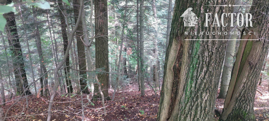 gorlicki, Gorlice, Stróżówka, Działka na sprzedaż