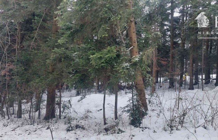 małopolskie, nowosądecki, Działka na sprzedaż
