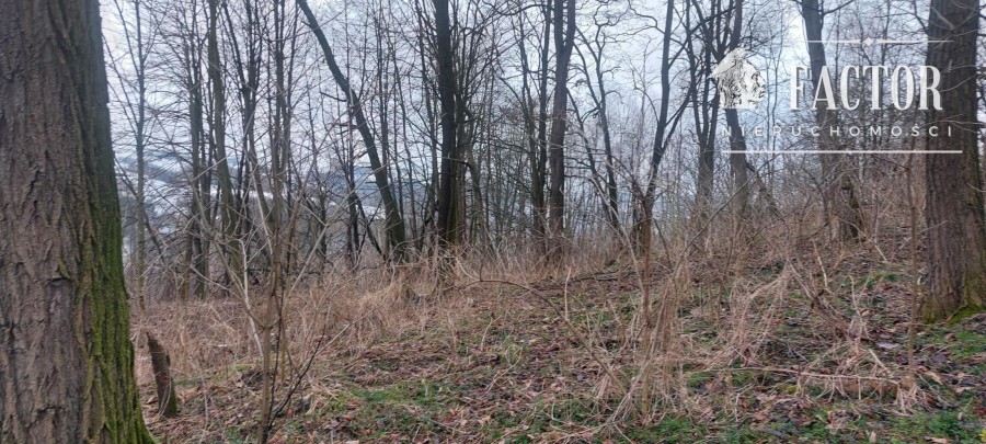 gorlicki, Bobowa, Sędziszowa, Działka na sprzedaż