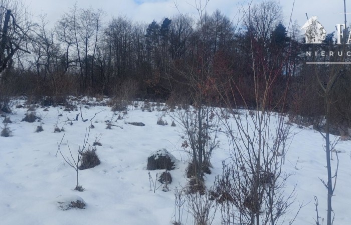 małopolskie, gorlicki, Działka na sprzedaż