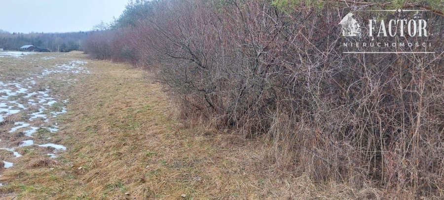 gorlicki, Sękowa, Siary, Działka na sprzedaż