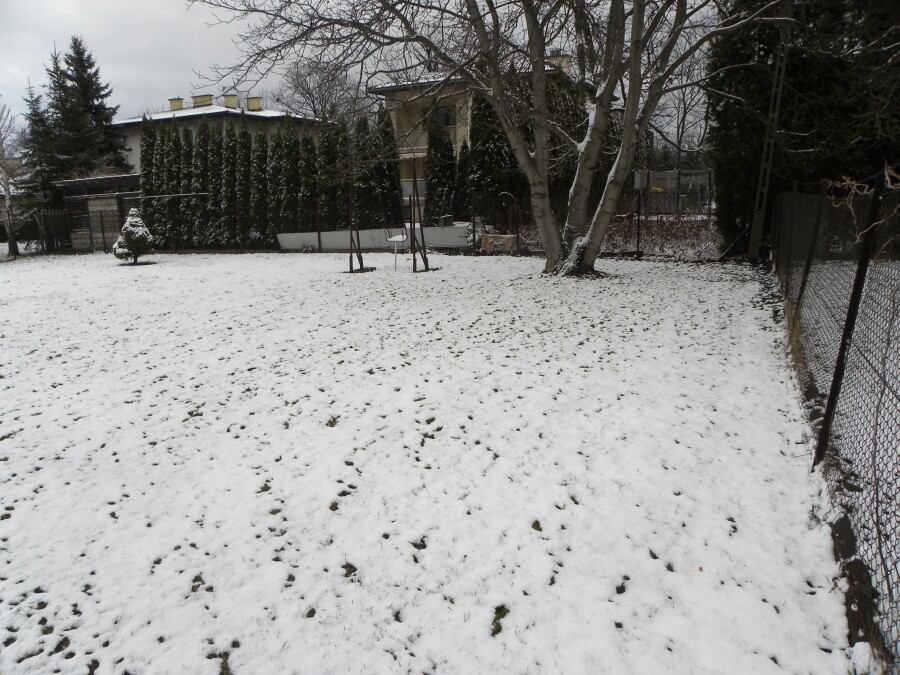 gorlicki, Gorlice, Gorlice, Działka na sprzedaż