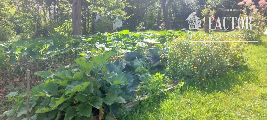 gorlicki, Sękowa, Siary, Dom na sprzedaż