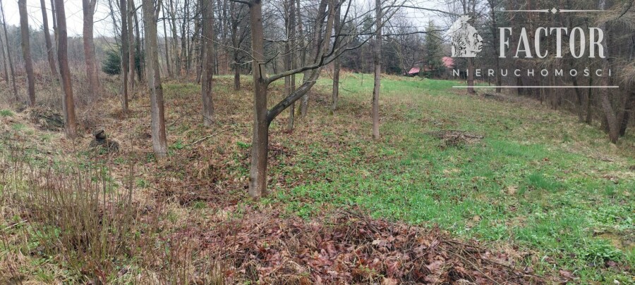 gorlicki, Uście Gorlickie, Kunkowa, Działka na sprzedaż