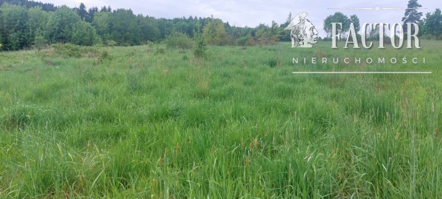 gorlicki, Sękowa, Siary, Działka na sprzedaż