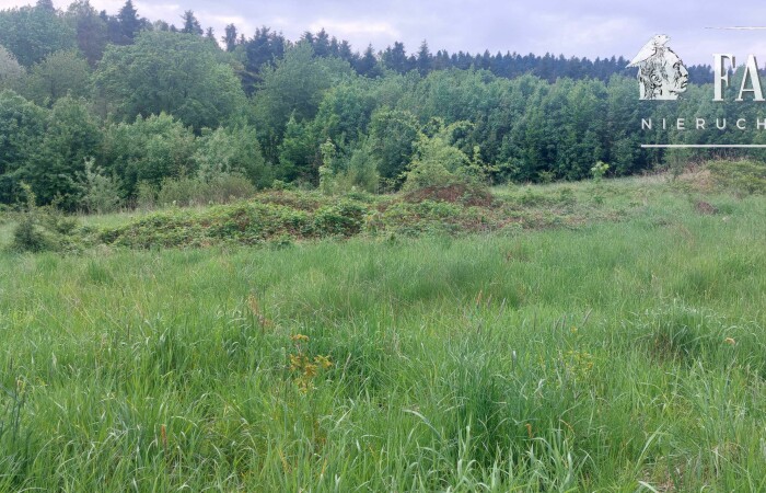 małopolskie, gorlicki, Działka na sprzedaż