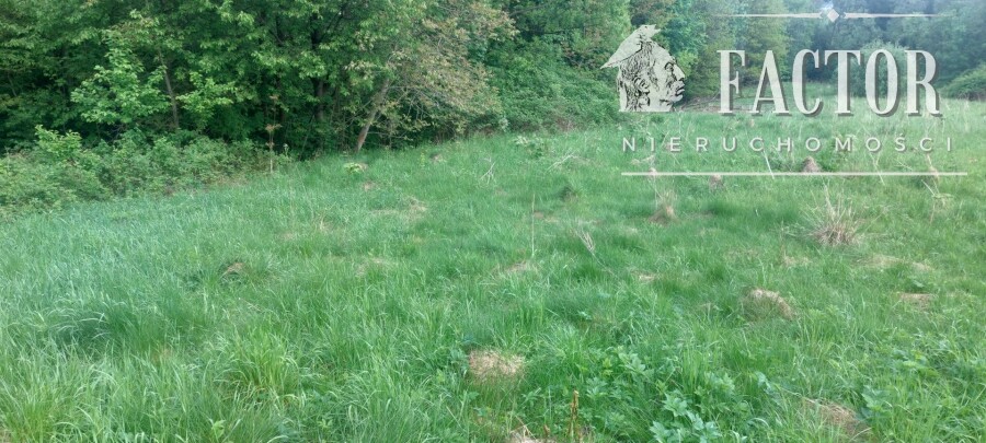 gorlicki, Sękowa, Siary, Działka na sprzedaż