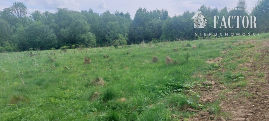 gorlicki, Sękowa, Siary, Działka na sprzedaż