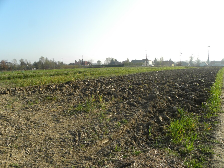 jasielski, Skołyszyn, Przysieki, Działka na sprzedaż