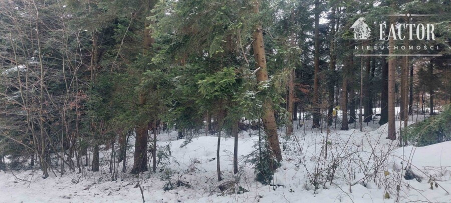 nowosądecki, Grybów, Biała Niżna, Działka na sprzedaż