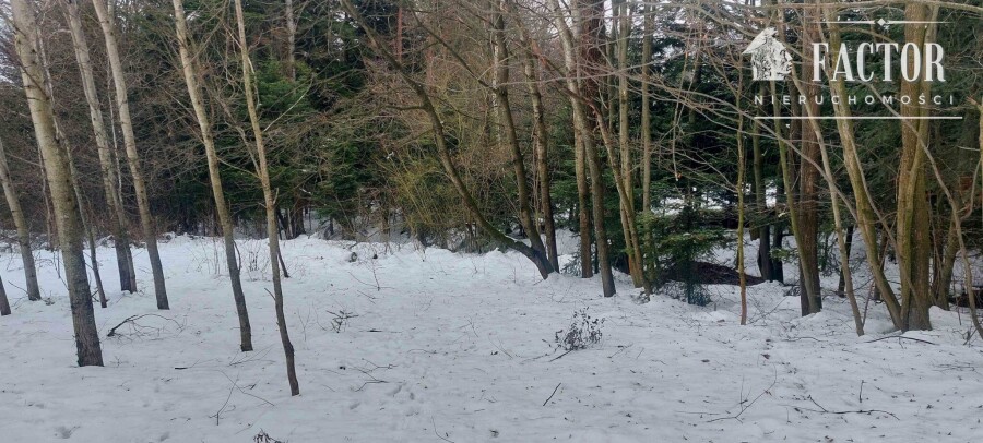 nowosądecki, Grybów, Biała Niżna, Działka na sprzedaż