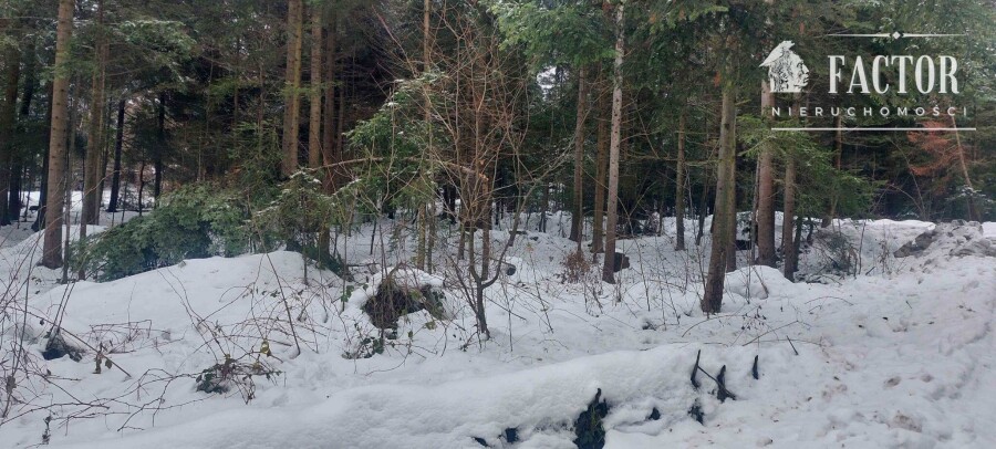 nowosądecki, Grybów, Biała Niżna, Działka na sprzedaż