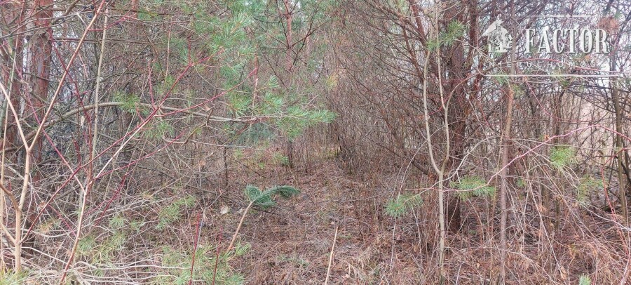 gorlicki, Sękowa, Siary, Działka na sprzedaż