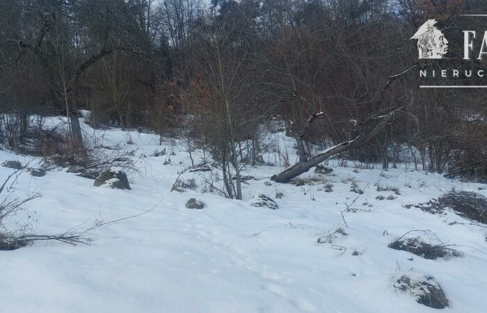 małopolskie, gorlicki, Działka na sprzedaż