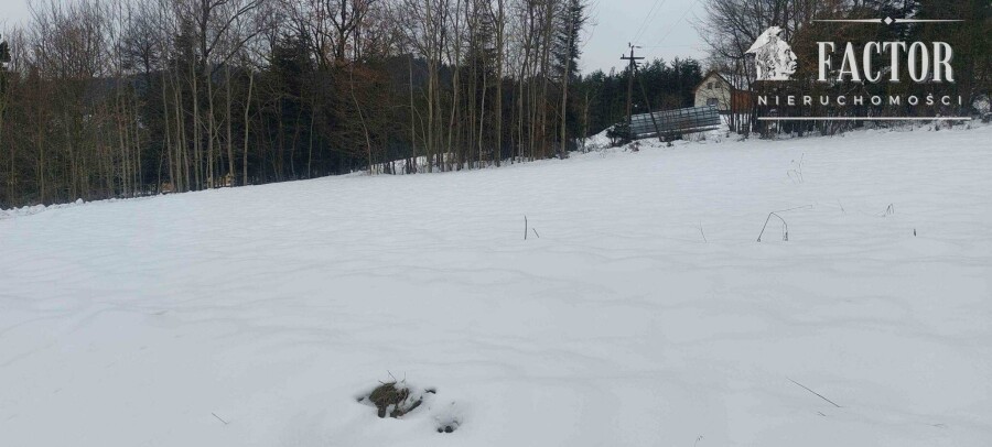 nowosądecki, Grybów, Biała Niżna, Działka na sprzedaż