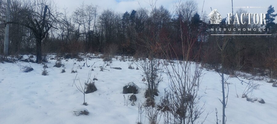 gorlicki, Sękowa, Siary, Działka na sprzedaż