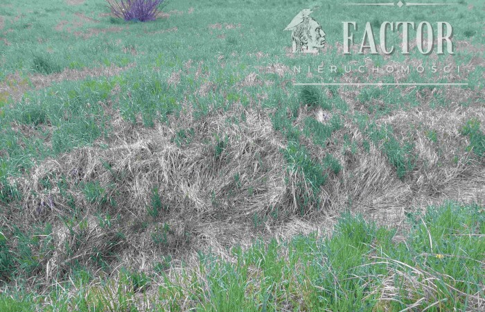 małopolskie, gorlicki, Działka na sprzedaż