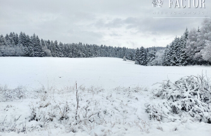 małopolskie, gorlicki, Działka na sprzedaż