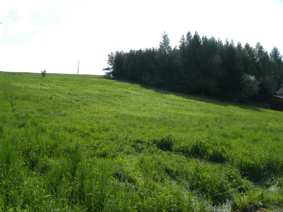 gorlicki, Biecz, Korczyna, Działka na sprzedaż