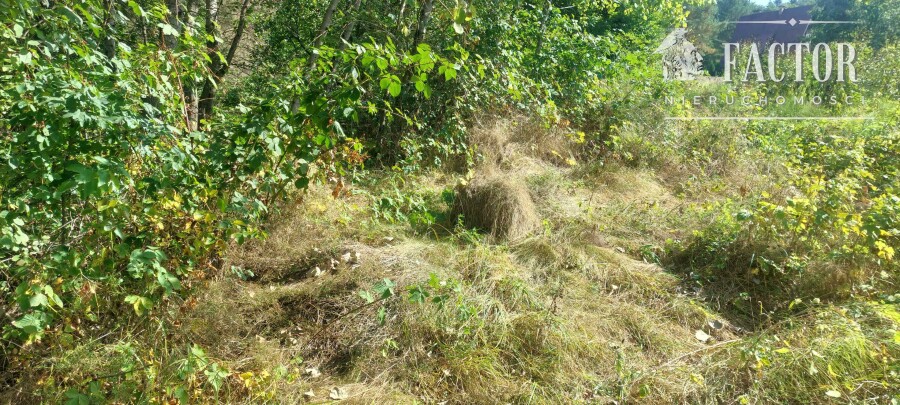gorlicki, Ropa, Łosie, Działka na sprzedaż