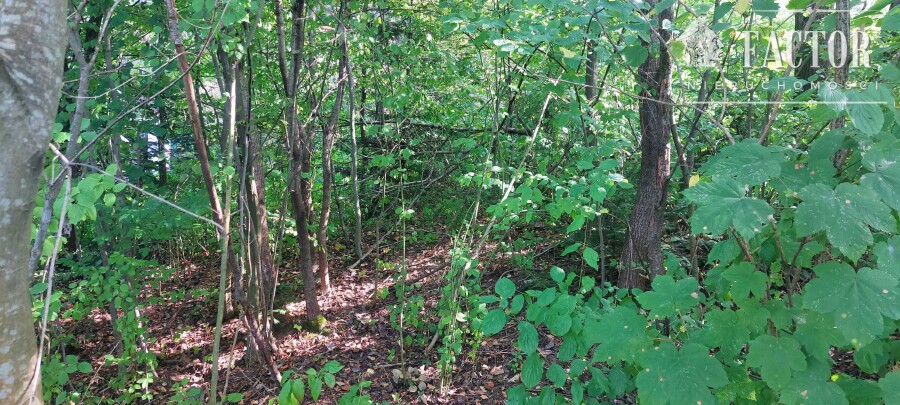 gorlicki, Ropa, Łosie, Działka na sprzedaż