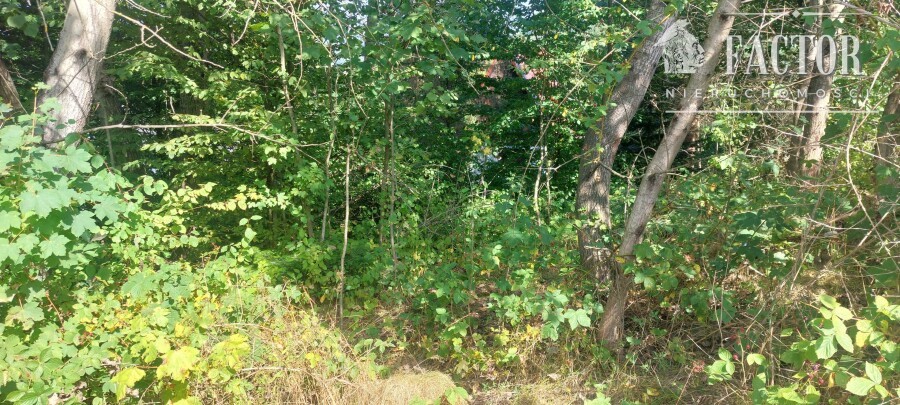 gorlicki, Ropa, Łosie, Działka na sprzedaż