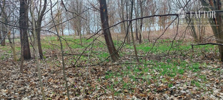 tarnowski, Rzepiennik Strzyżewski, Rzepiennik Biskupi, Działka na sprzedaż