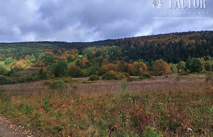 małopolskie, gorlicki, Działka na sprzedaż