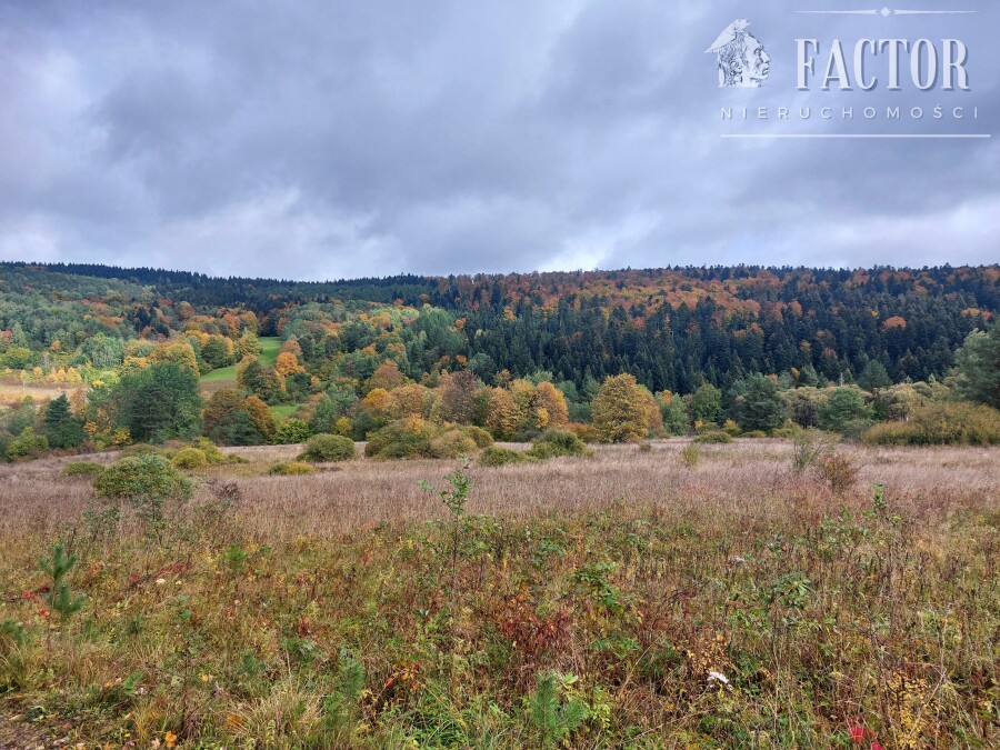 gorlicki, Uście Gorlickie, Kunkowa, Działka na sprzedaż