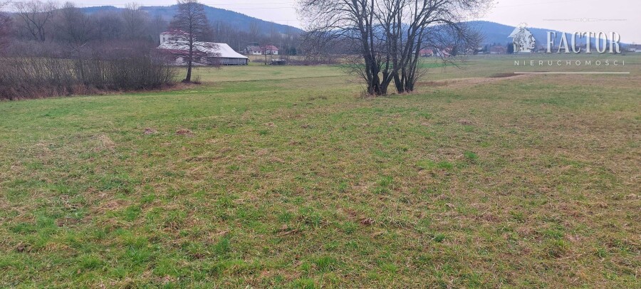 gorlicki, Łużna, Szalowa, Działka na sprzedaż