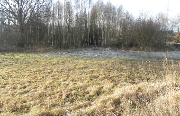 podkarpackie, jasielski, Działka na sprzedaż