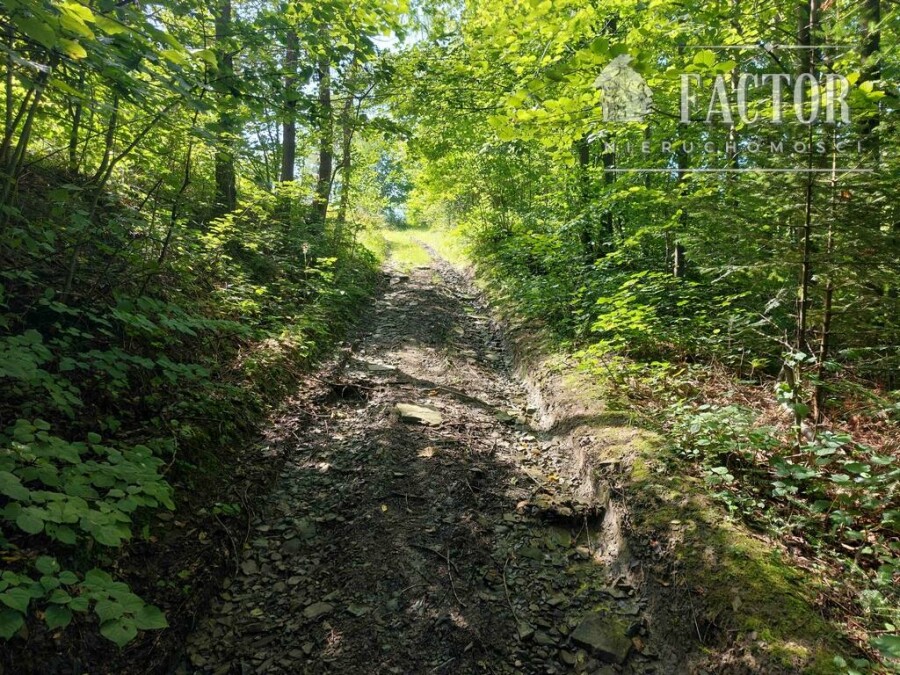 nowosądecki, Grybów, Kąclowa, Działka na sprzedaż
