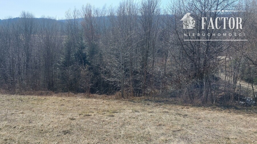 gorlicki, Łużna, Bieśnik, Działka na sprzedaż