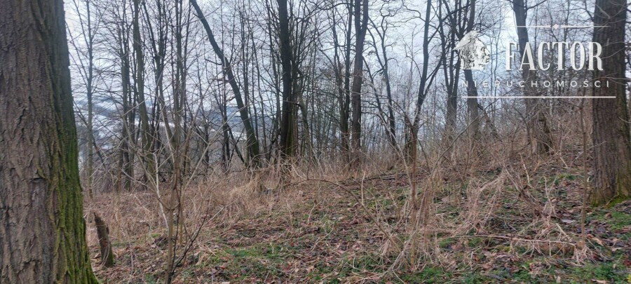 gorlicki, Bobowa, Sędziszowa, Działka na sprzedaż