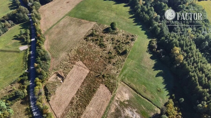 gorlicki, Ropa, Łosie, Działka na sprzedaż