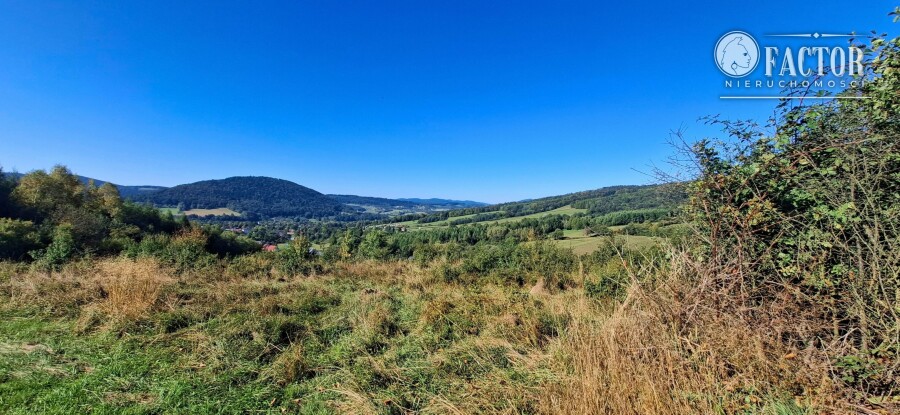 gorlicki, Ropa, Łosie, Działka na sprzedaż
