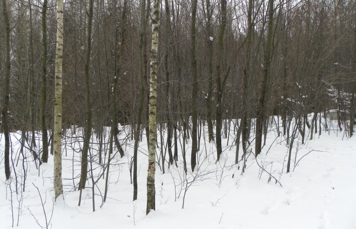 małopolskie, gorlicki, Działka na sprzedaż