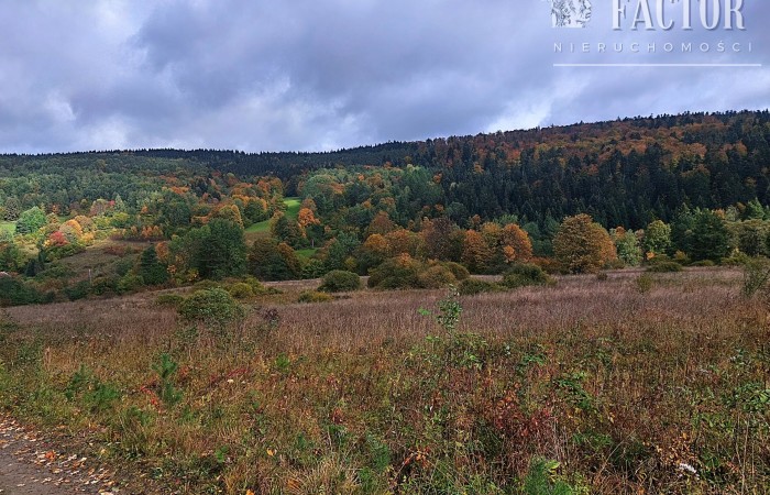 małopolskie, gorlicki, Działka na sprzedaż