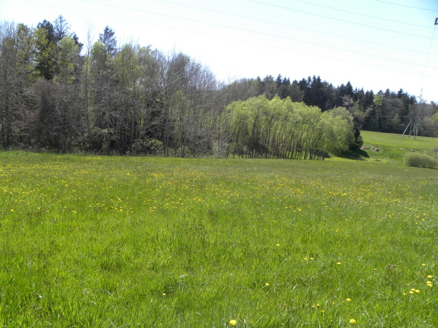 gorlicki, Gorlice, Stróżówka, Działka na sprzedaż